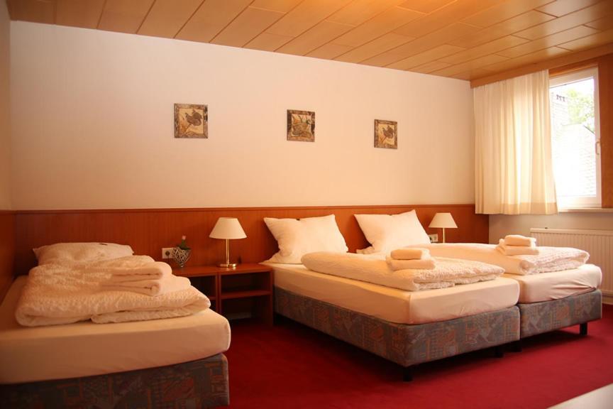 Hotel Garni Kaiserpfalz Goslar Eksteriør bilde